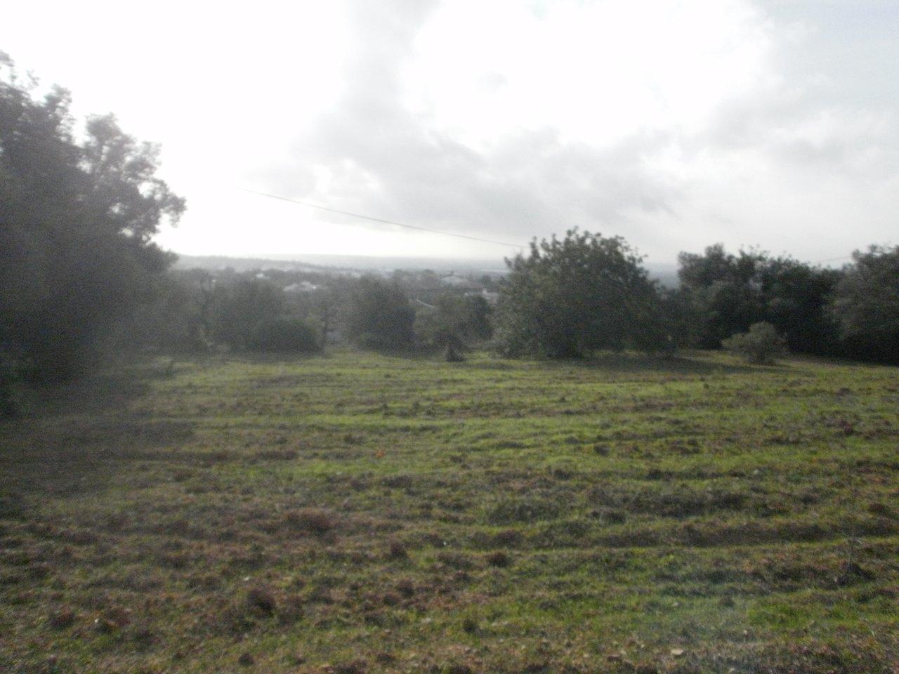 Terreno Rústico  Venda em Santa Bárbara de Nexe,Faro