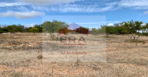 Terreno Rústico  Venda em Loulé (São Clemente),Loulé