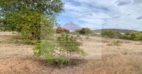 Terreno Rústico  Venda em Loulé (São Clemente),Loulé