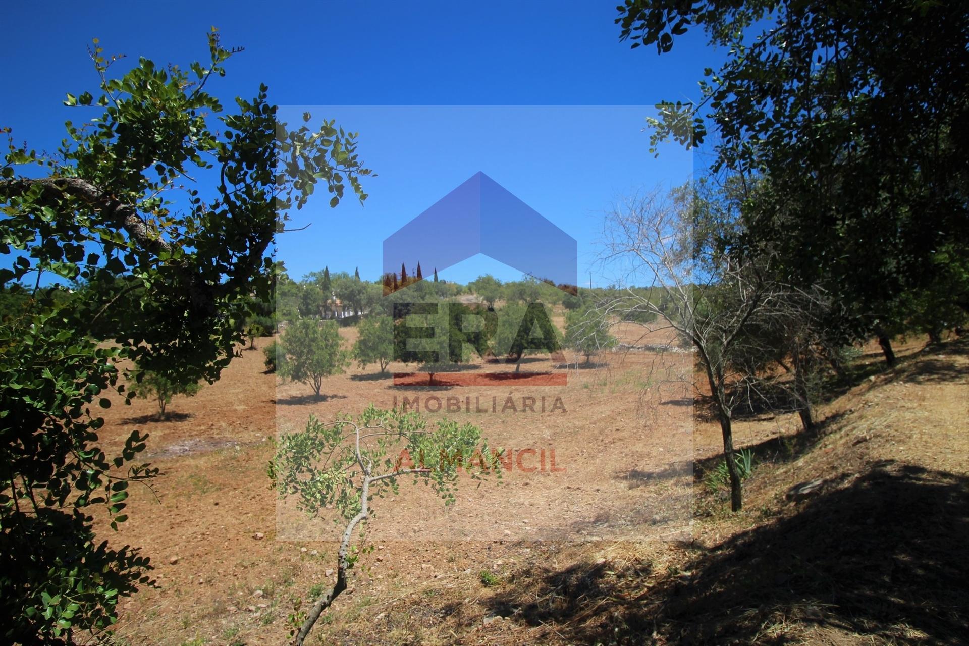 Terreno Rústico  Venda em Santa Bárbara de Nexe,Faro