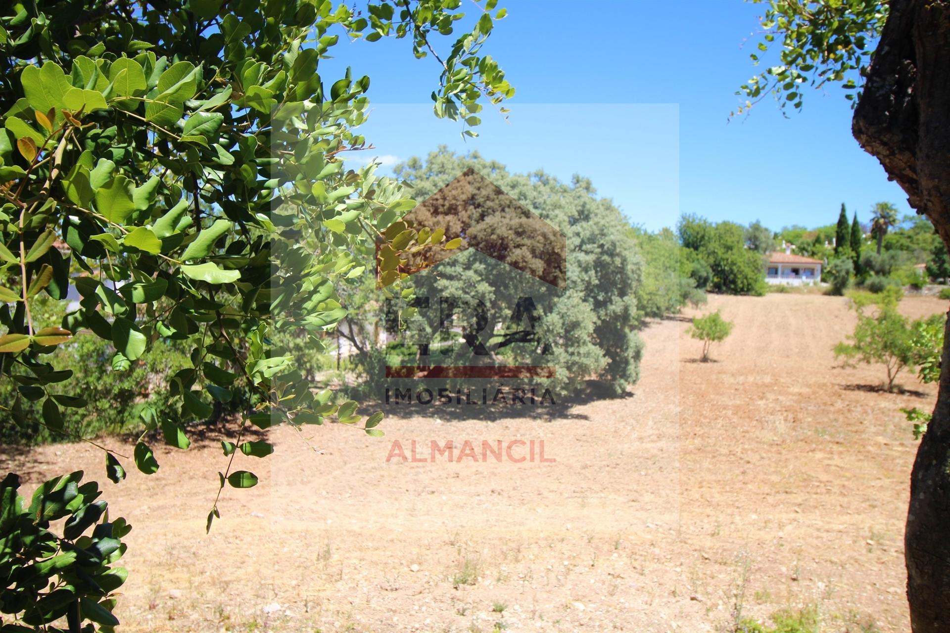 Terreno Rústico  Venda em Santa Bárbara de Nexe,Faro