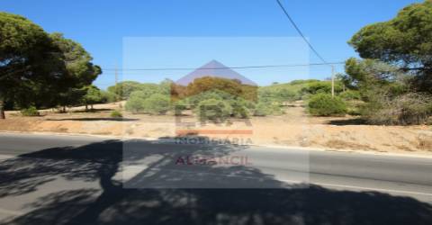 Terreno Rústico  Venda em Almancil,Loulé