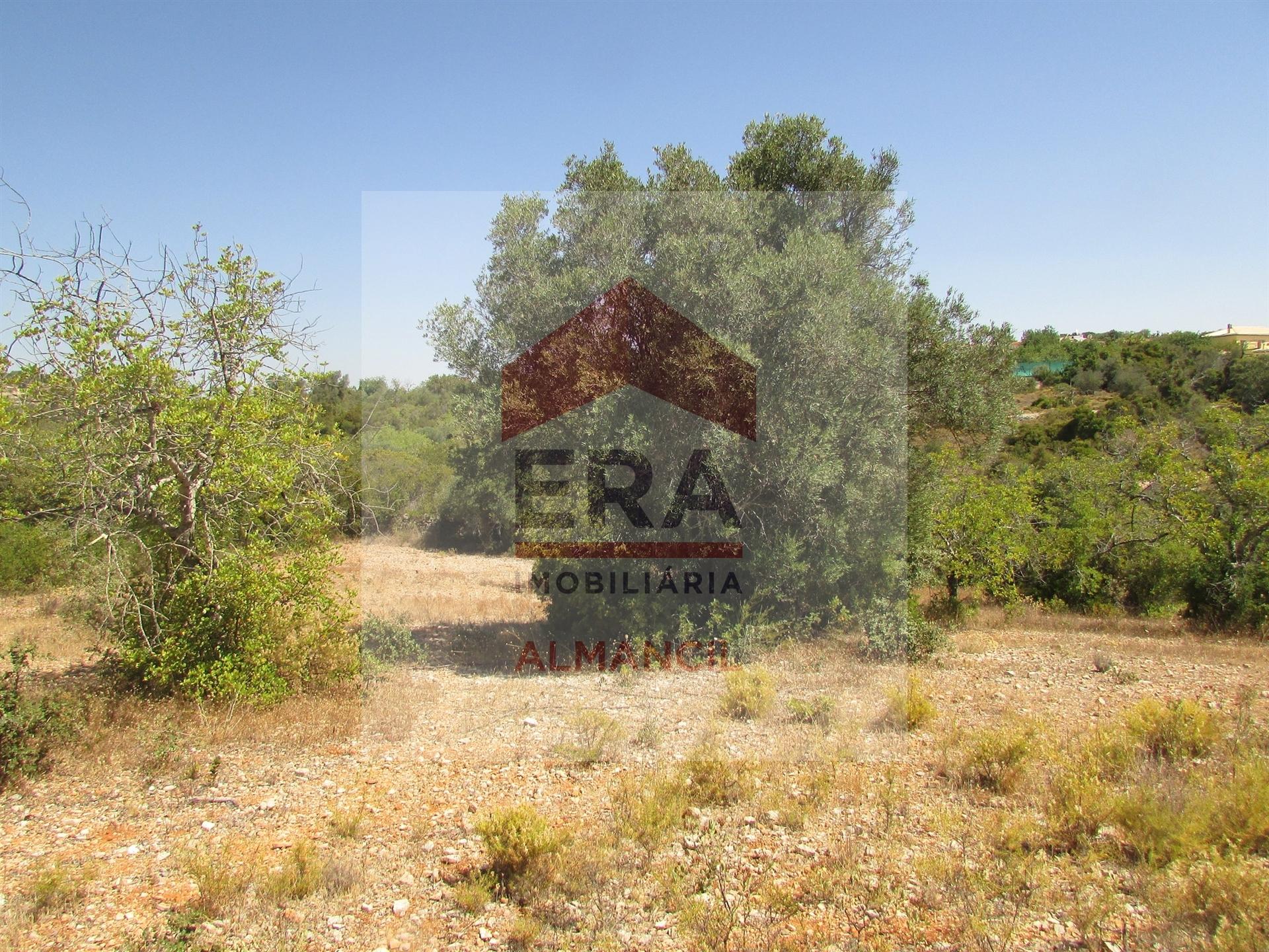 Terreno Rústico  Venda em Santa Bárbara de Nexe,Faro