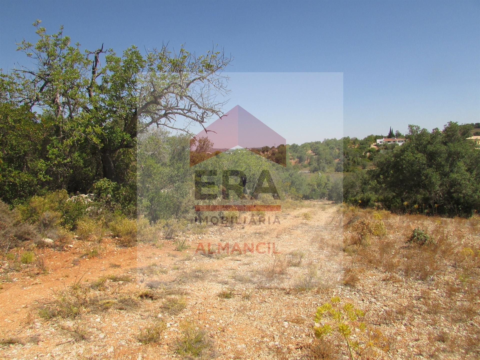 Terreno Rústico  Venda em Santa Bárbara de Nexe,Faro