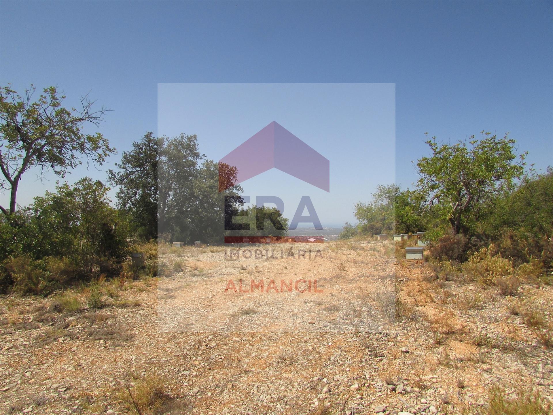 Terreno Rústico  Venda em Santa Bárbara de Nexe,Faro