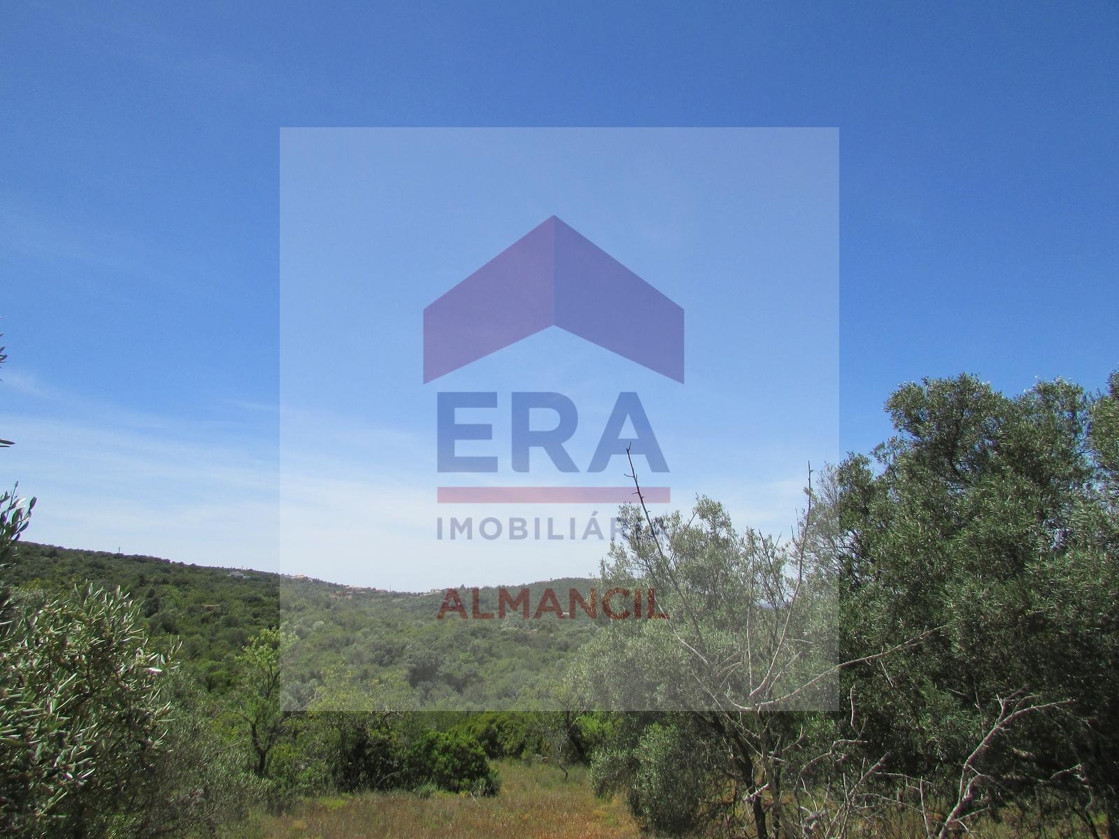 Terreno Rústico  Venda em Santa Bárbara de Nexe,Faro