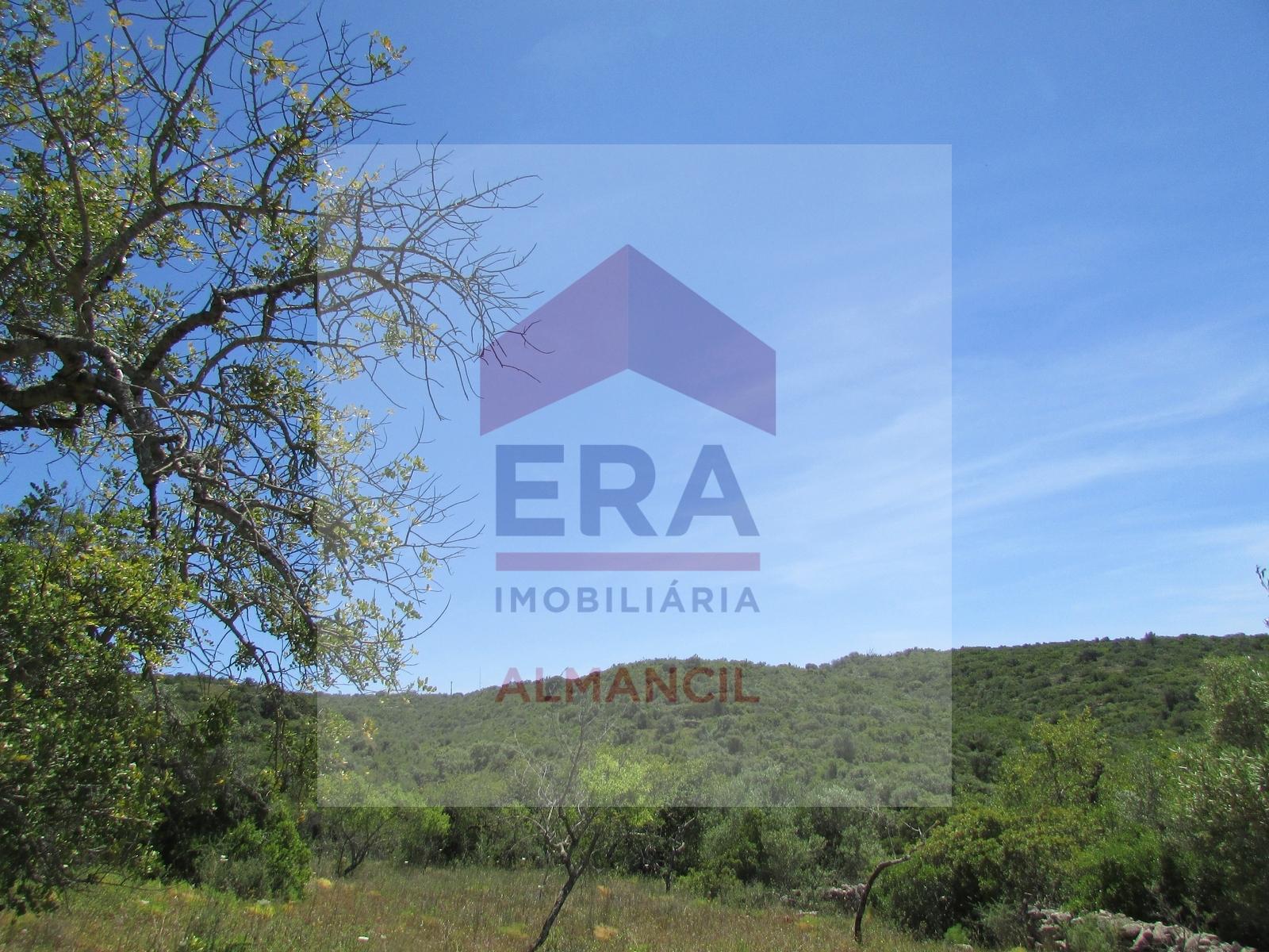 Terreno Rústico  Venda em Santa Bárbara de Nexe,Faro