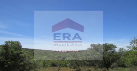 Terreno Rústico  Venda em Santa Bárbara de Nexe,Faro