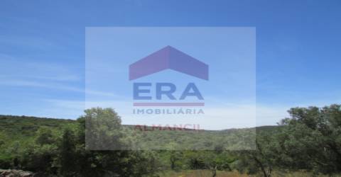 Terreno Rústico  Venda em Santa Bárbara de Nexe,Faro