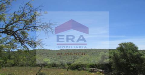 Terreno Rústico  Venda em Santa Bárbara de Nexe,Faro