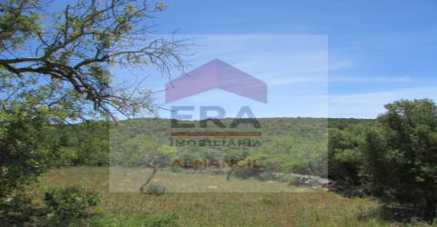 Terreno Rústico  Venda em Santa Bárbara de Nexe,Faro