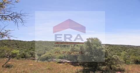 Terreno Rústico  Venda em Santa Bárbara de Nexe,Faro