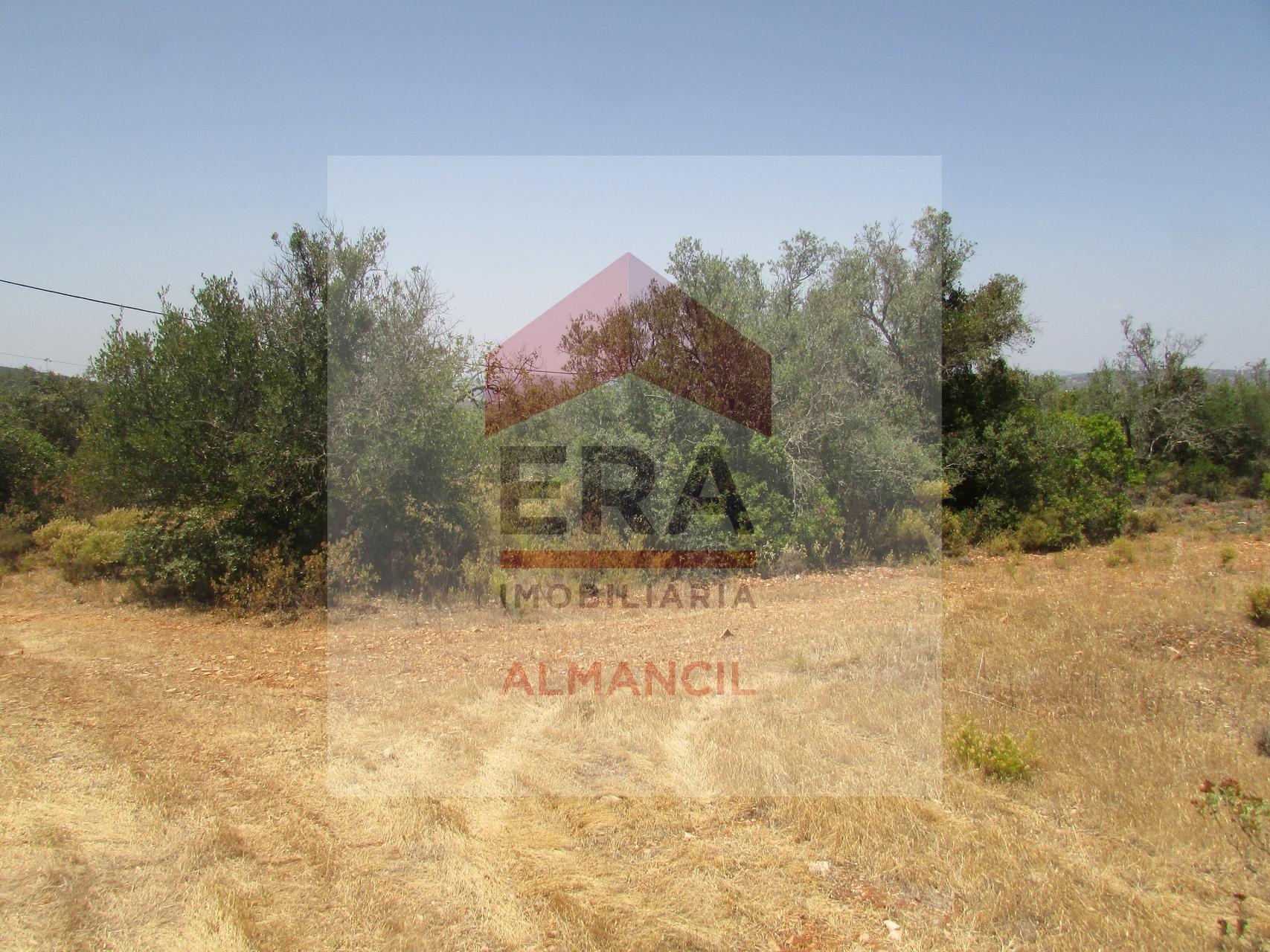 Terreno Rústico  Venda em Santa Bárbara de Nexe,Faro