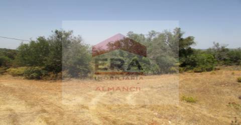 Terreno Rústico  Venda em Santa Bárbara de Nexe,Faro