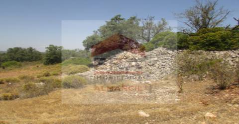 Terreno Rústico  Venda em Santa Bárbara de Nexe,Faro