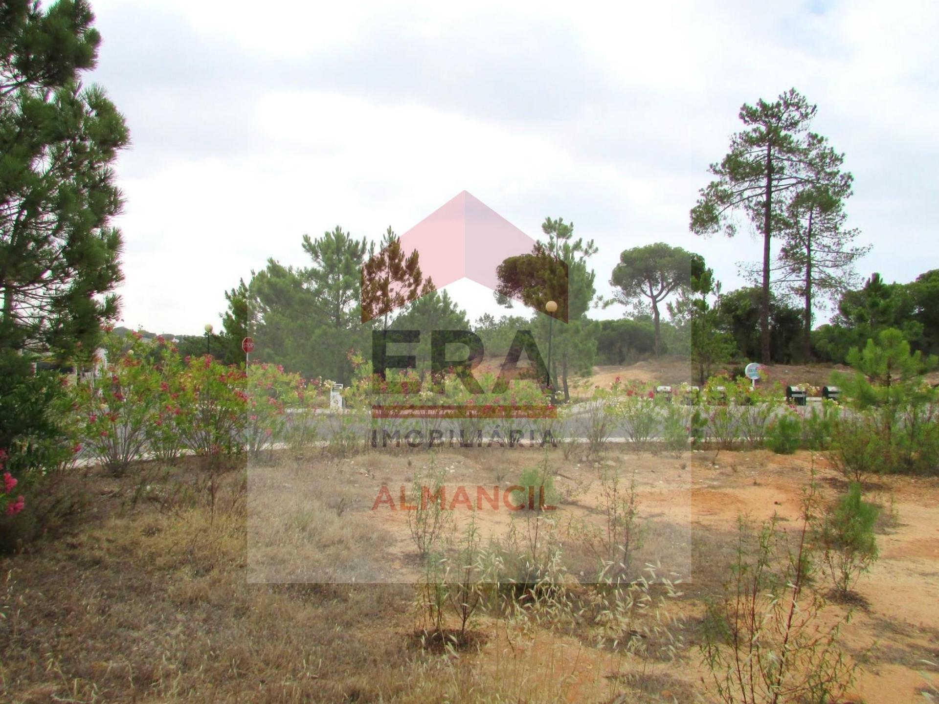 Terreno Para Construção  Venda em Almancil,Loulé