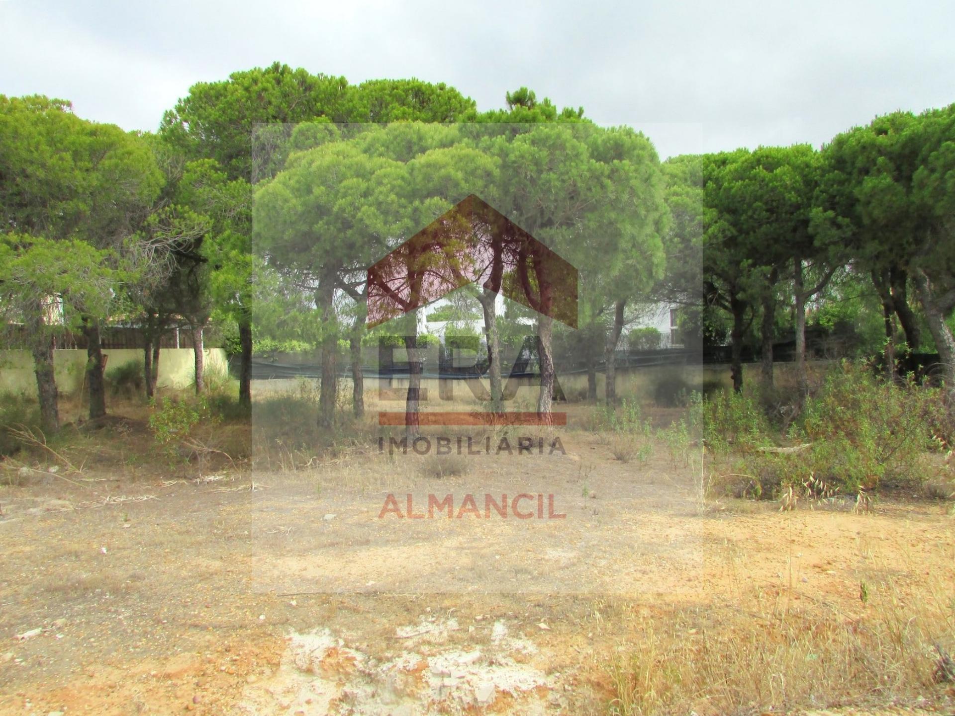 Terreno Para Construção  Venda em Almancil,Loulé