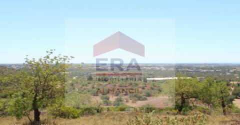 Terreno Rústico  Venda em Loulé (São Sebastião),Loulé