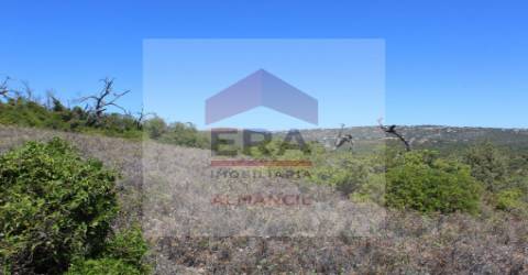 Terreno Rústico  Venda em Loulé (São Sebastião),Loulé