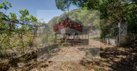 Moradia Rústica T1 Venda em Quarteira,Loulé