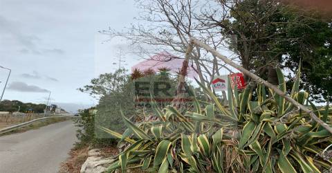 Terreno Para Construção  Venda em Santa Bárbara de Nexe,Faro