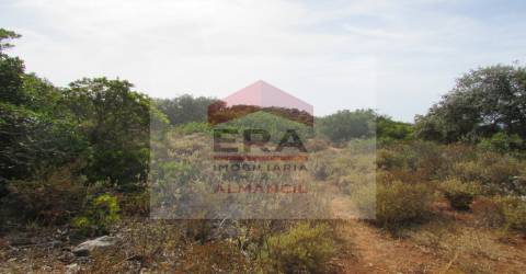 Terreno Rústico  Venda em Santa Bárbara de Nexe,Faro