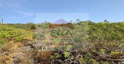 Terreno Rústico  Venda em Santa Bárbara de Nexe,Faro