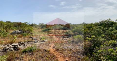 Terreno Rústico  Venda em Santa Bárbara de Nexe,Faro