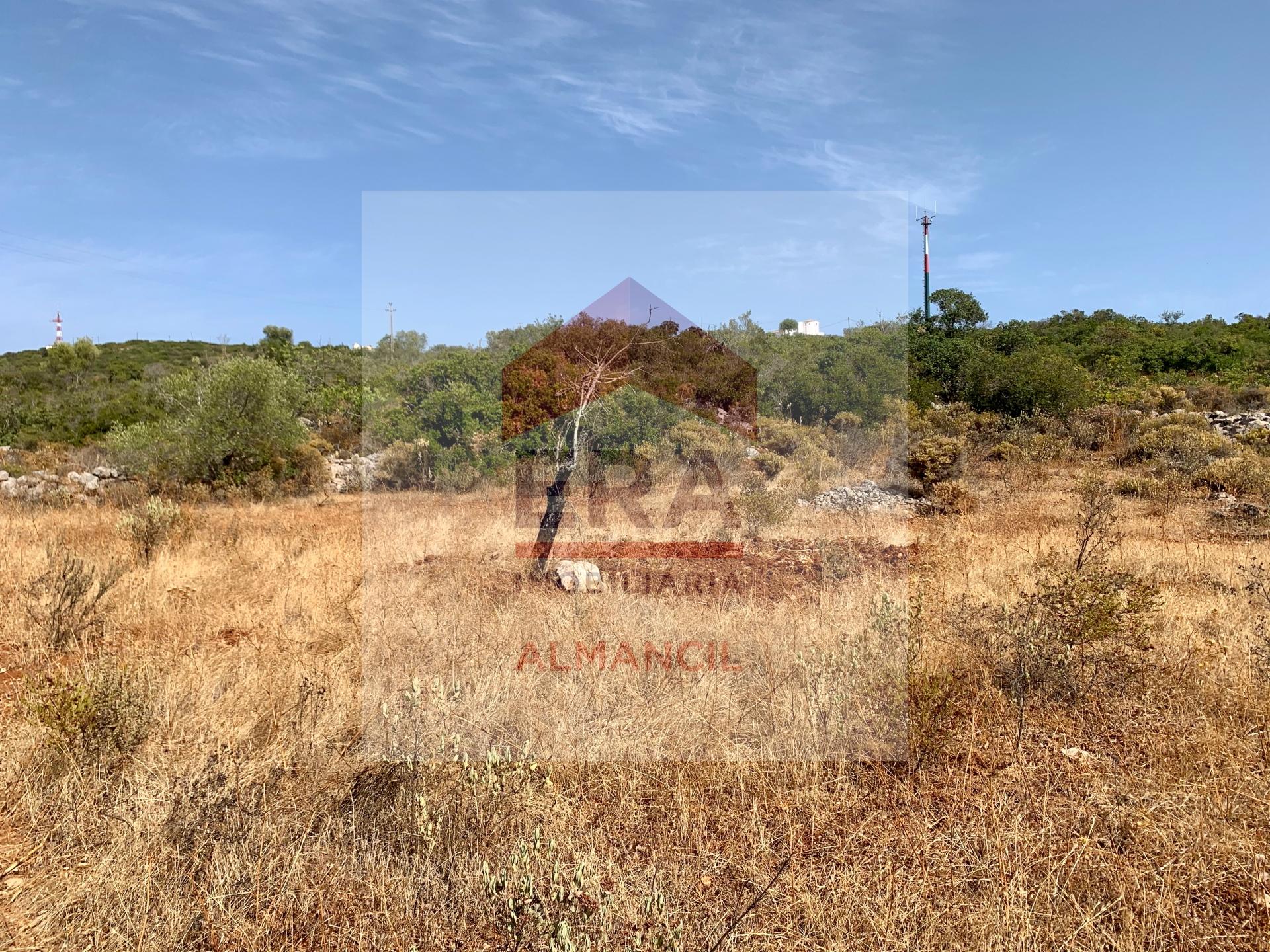 Terreno Rústico  Venda em Santa Bárbara de Nexe,Faro