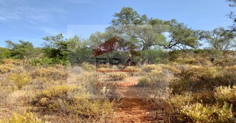 Terreno Rústico  Venda em Santa Bárbara de Nexe,Faro