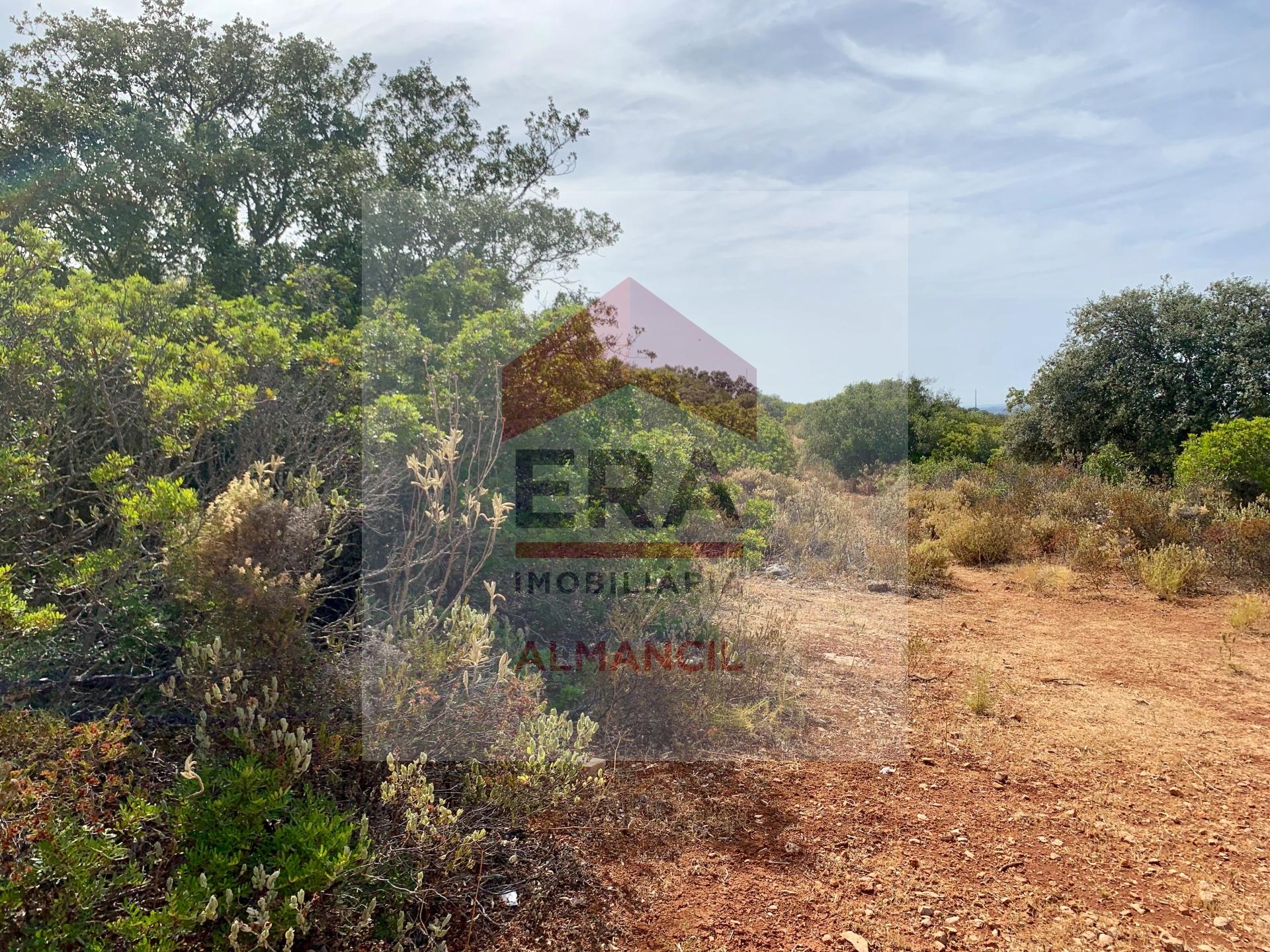 Terreno Rústico  Venda em Santa Bárbara de Nexe,Faro