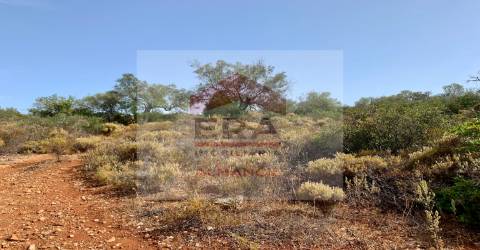 Terreno Rústico  Venda em Santa Bárbara de Nexe,Faro