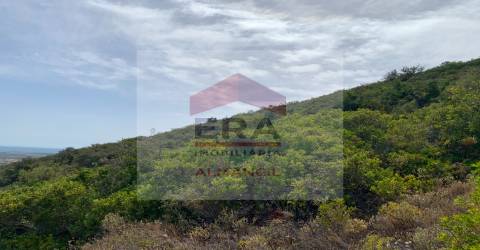 Terreno Rústico  Venda em Santa Bárbara de Nexe,Faro