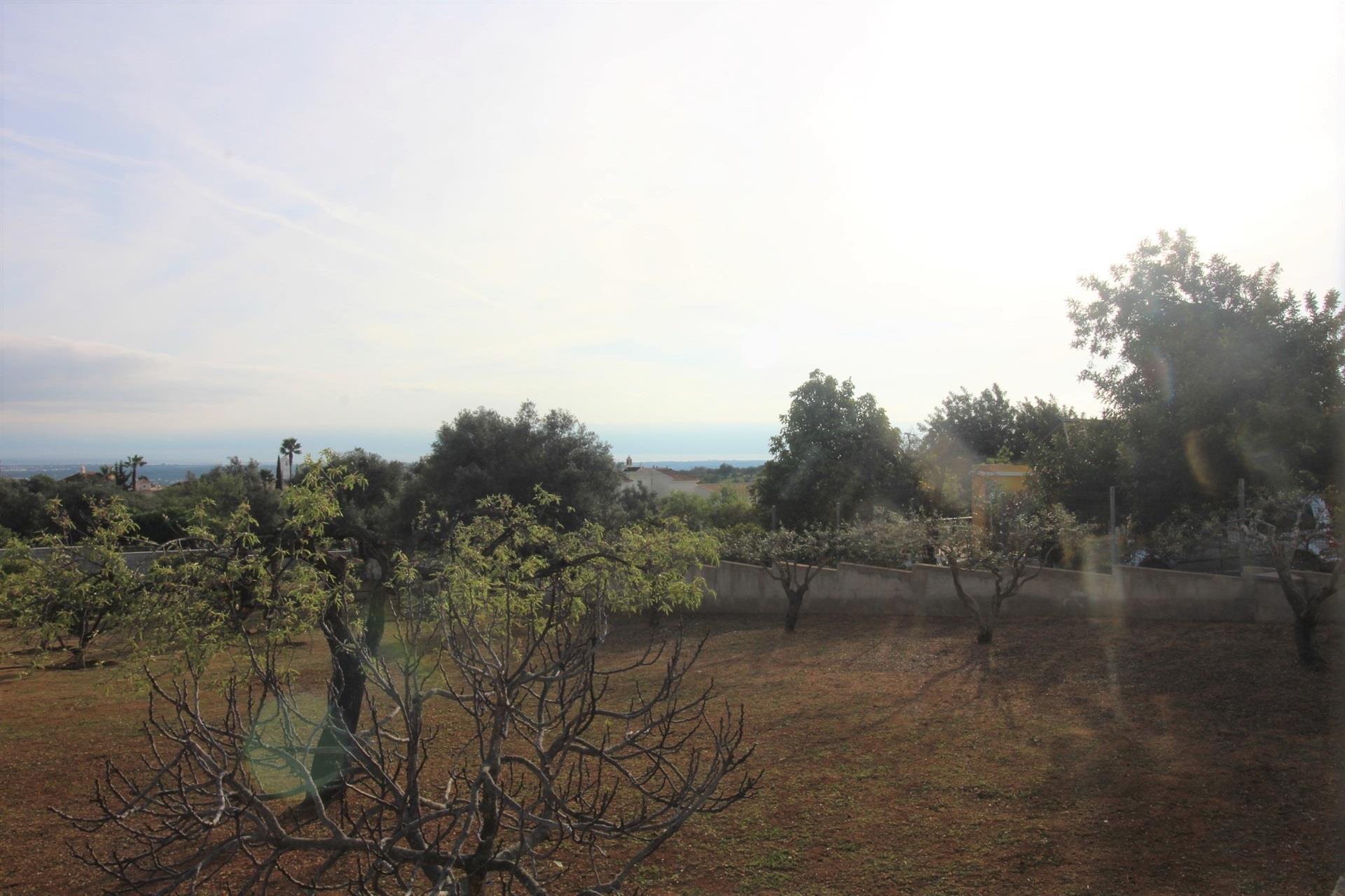 Lote de Terreno  Venda em Santa Bárbara de Nexe,Faro