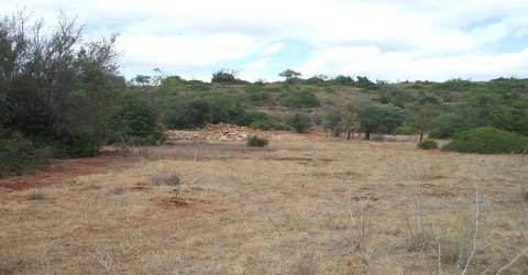 Terreno Rústico  Venda em Loulé (São Sebastião),Loulé