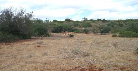 Terreno Rústico  Venda em Loulé (São Sebastião),Loulé