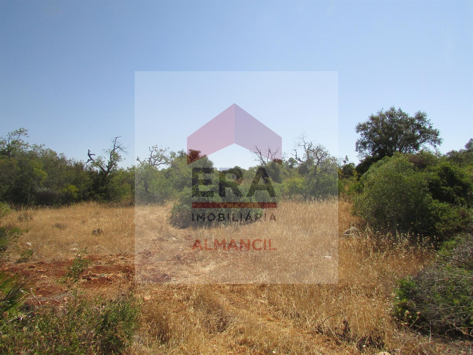 Terreno Rústico  Venda em Santa Bárbara de Nexe,Faro