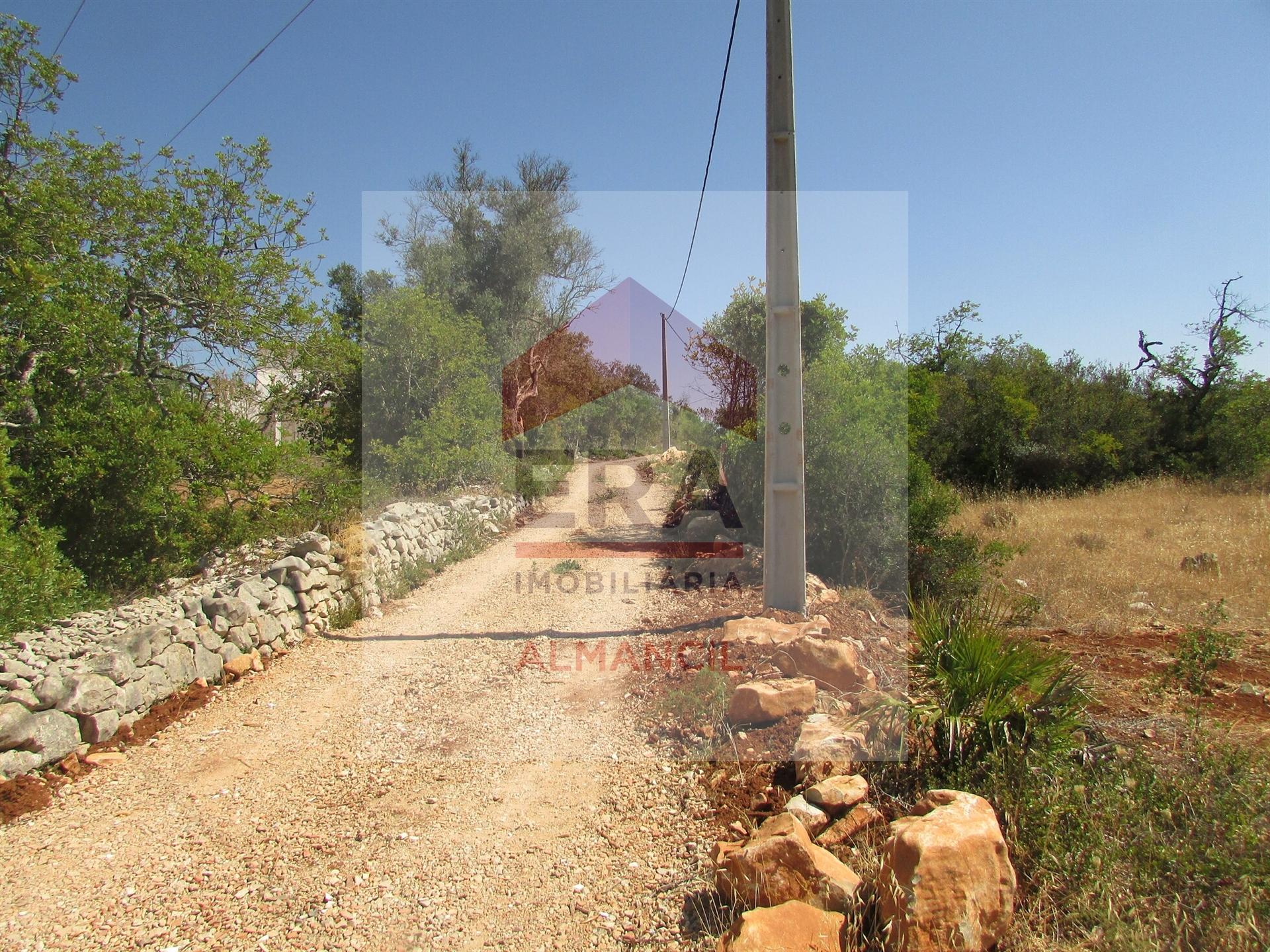 Terreno Rústico  Venda em Santa Bárbara de Nexe,Faro