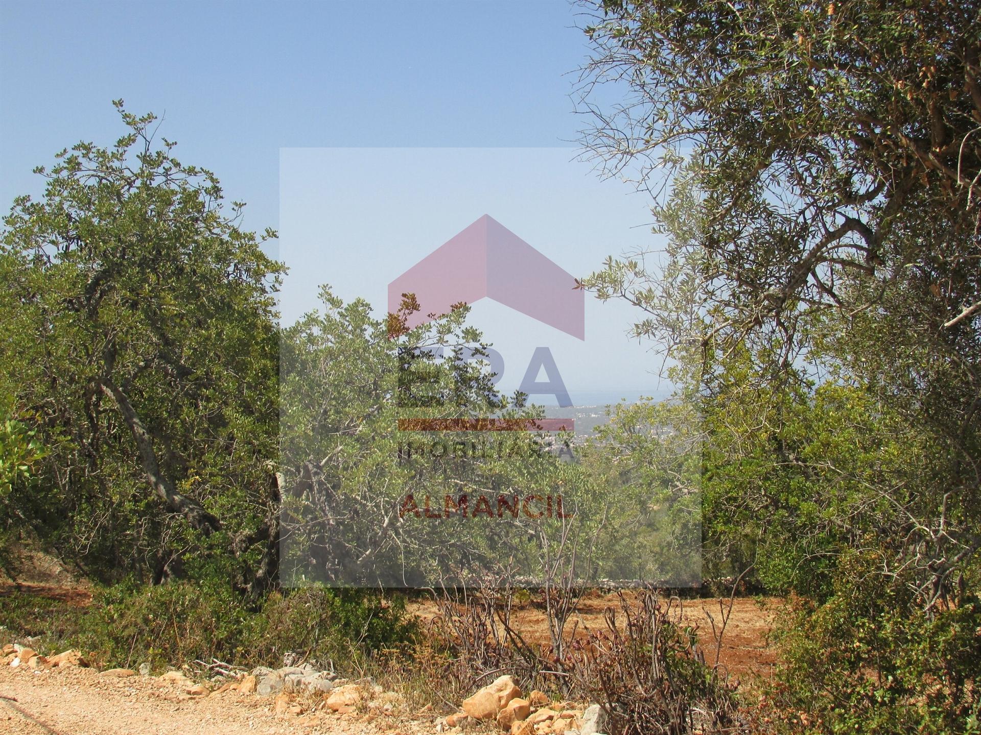 Terreno Rústico  Venda em Santa Bárbara de Nexe,Faro