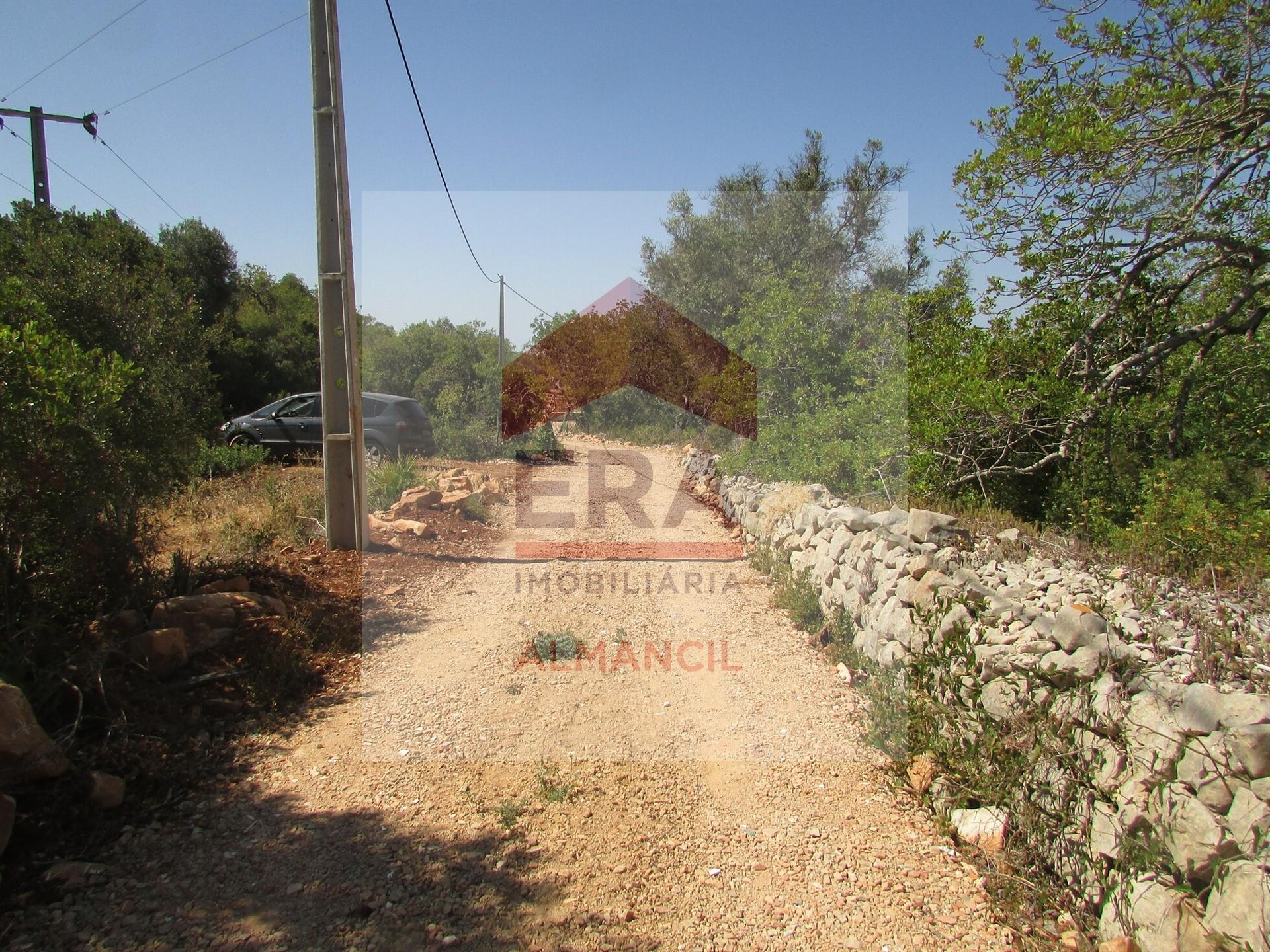 Terreno Rústico  Venda em Santa Bárbara de Nexe,Faro