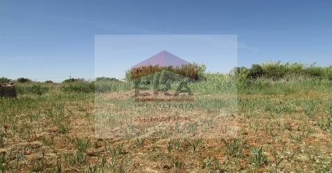 Terreno Rústico  Venda em Almancil,Loulé