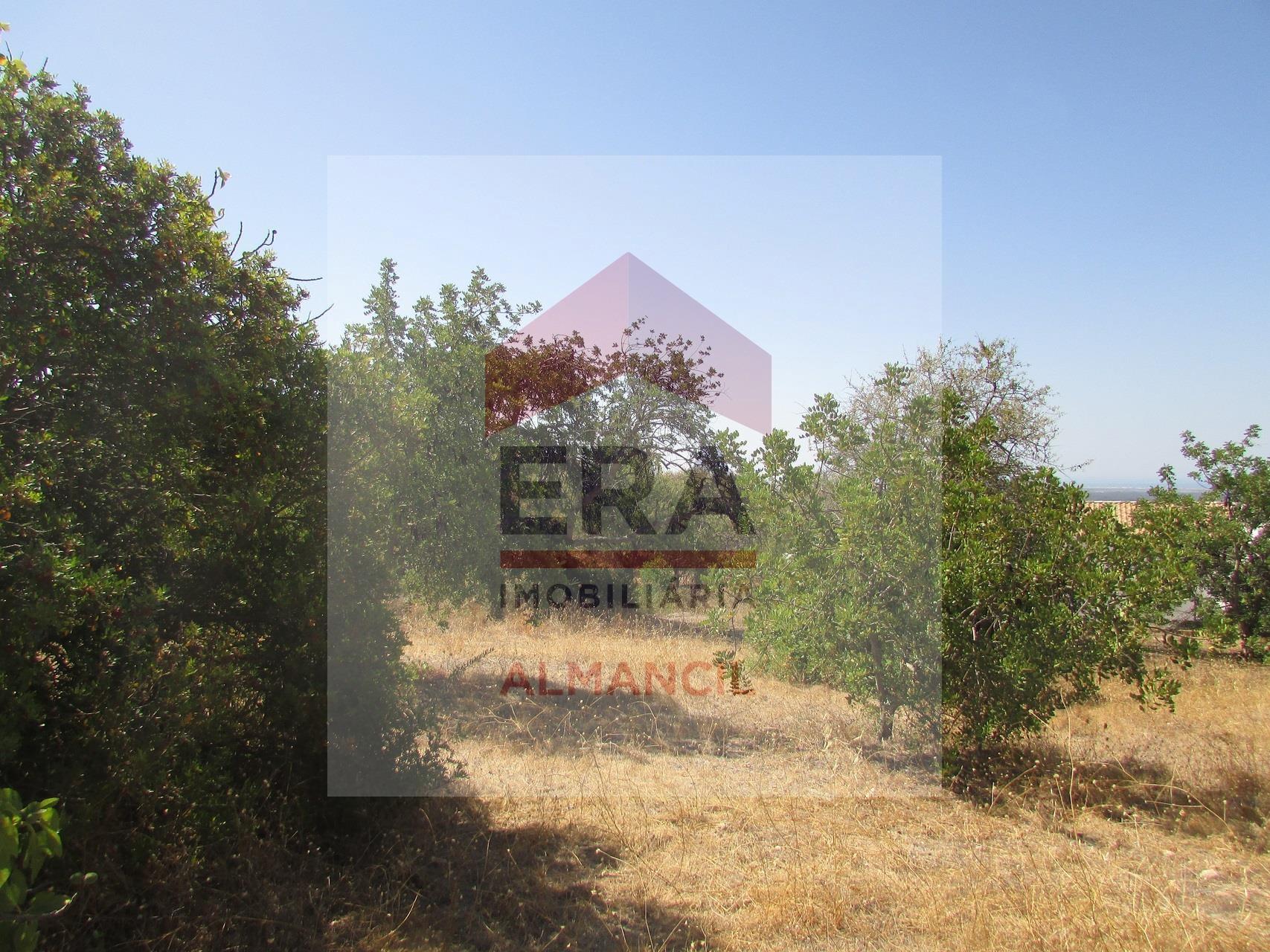 Terreno Rústico  Venda em Santa Bárbara de Nexe,Faro