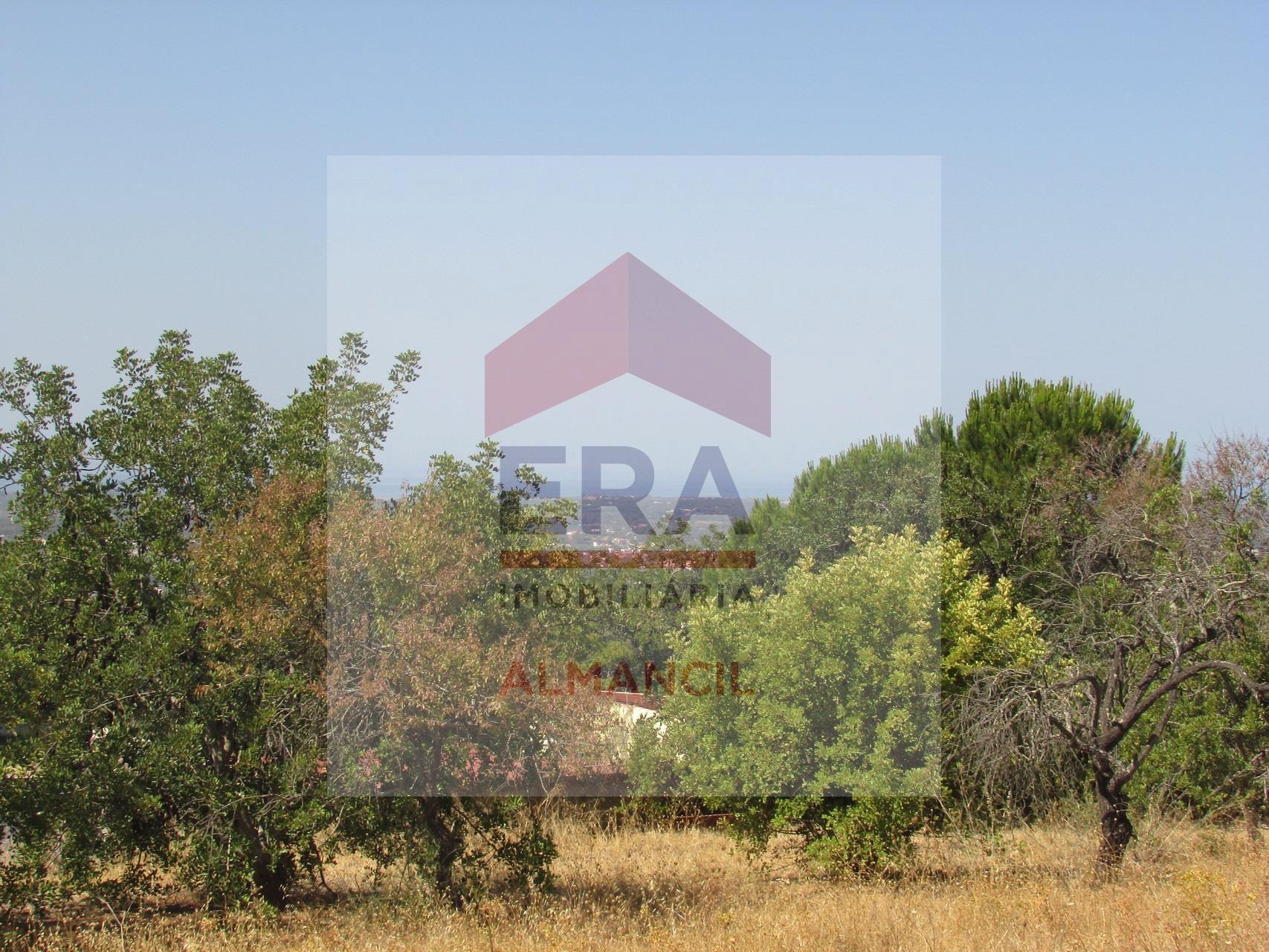 Terreno Rústico  Venda em Santa Bárbara de Nexe,Faro