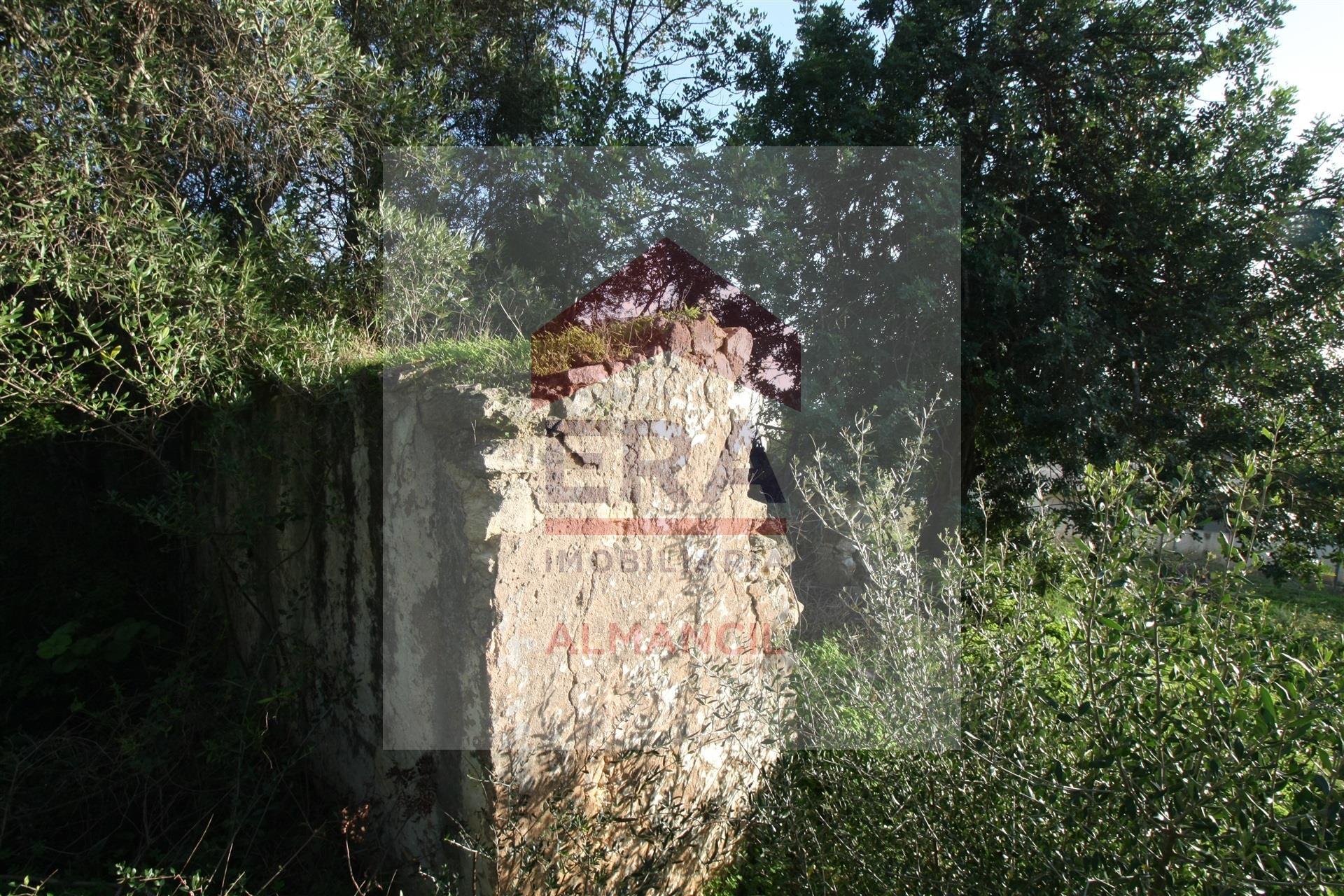 Terreno Misto  Venda em Santa Bárbara de Nexe,Faro