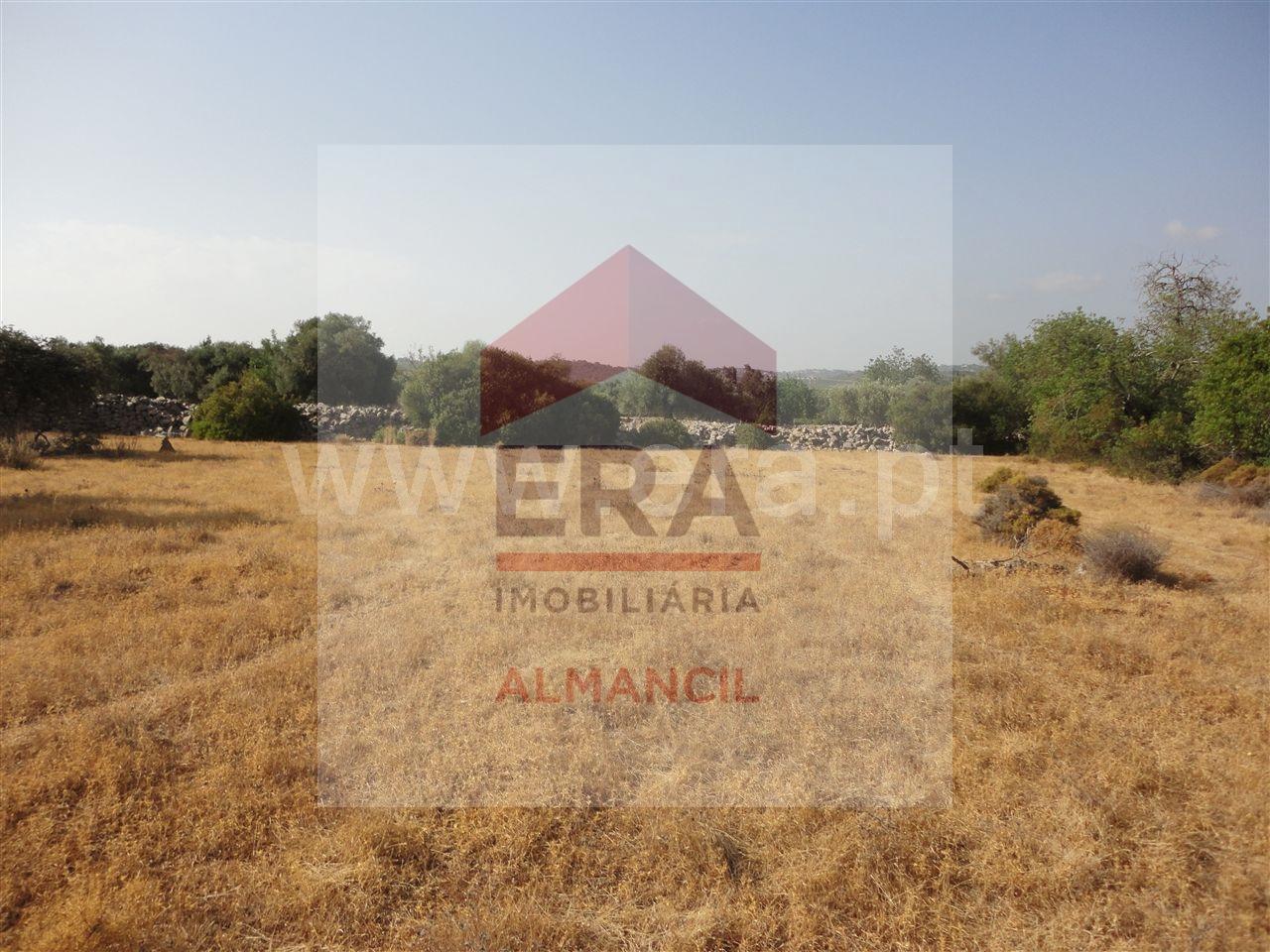 Terreno Rústico  Venda em Santa Bárbara de Nexe,Faro