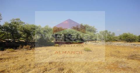 Terreno Rústico  Venda em Santa Bárbara de Nexe,Faro