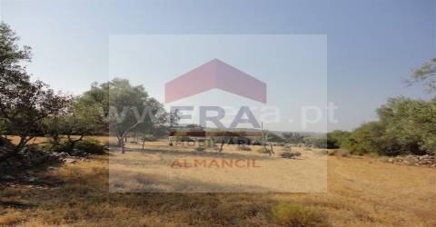 Terreno Rústico  Venda em Santa Bárbara de Nexe,Faro