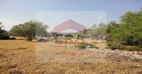 Terreno Rústico  Venda em Santa Bárbara de Nexe,Faro