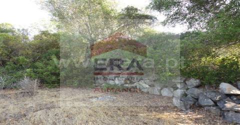 Terreno Rústico  Venda em Santa Bárbara de Nexe,Faro