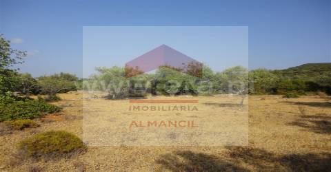 Terreno Rústico  Venda em Santa Bárbara de Nexe,Faro